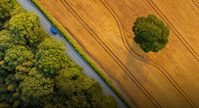 luchtfoto van akker en bomen
