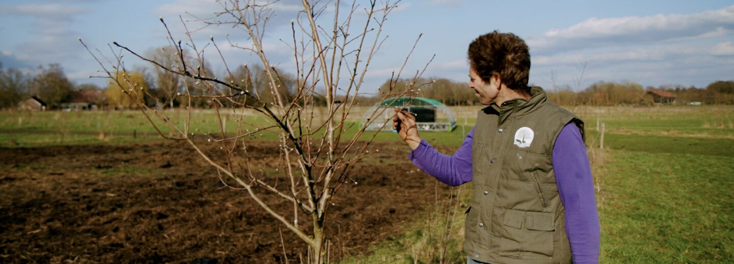 man bij een kale boom op een boerderij