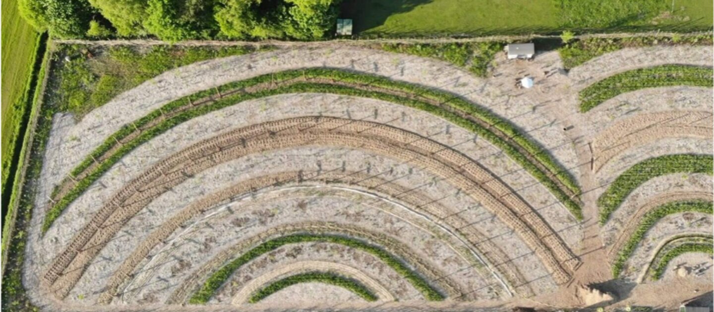 Boerderij van boven met gewassen en bomen.