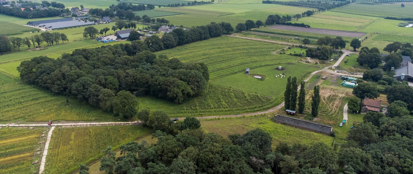 bomen en boerderij luchtfoto weiland