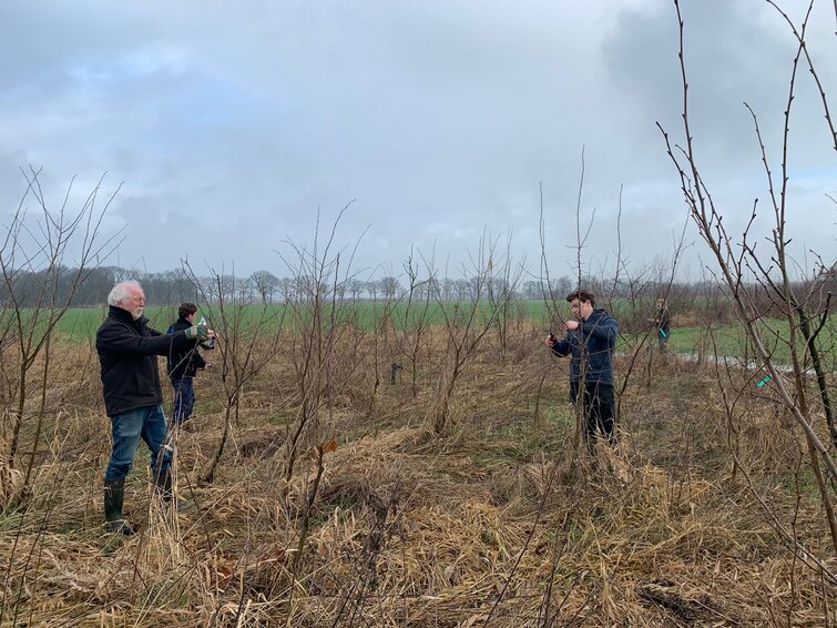 Onderhoud van bomen door Jan en Bart van den Broek