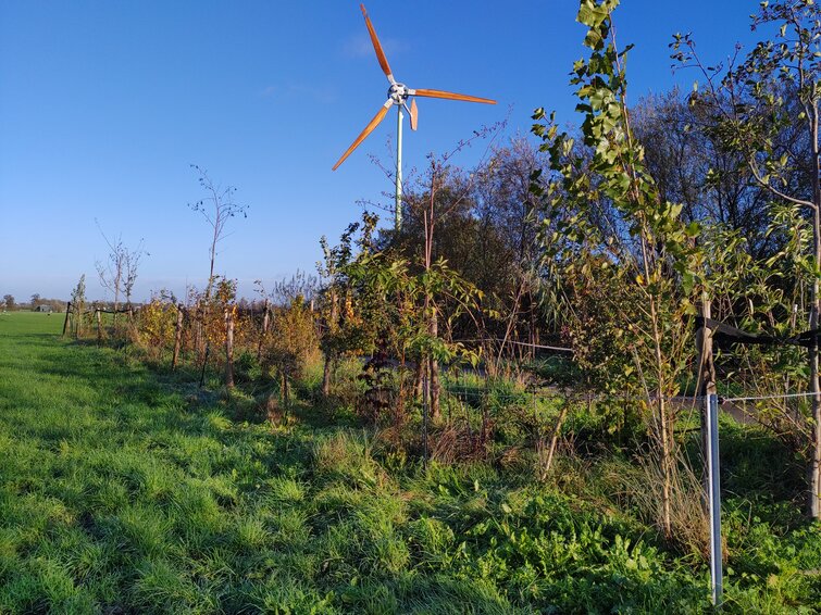 Een rij bomen geplant bij Bloemenweidemelk