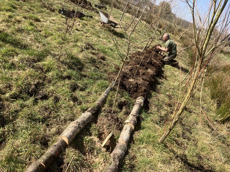 Aanplant bomenrij bij Boeren in het Bos