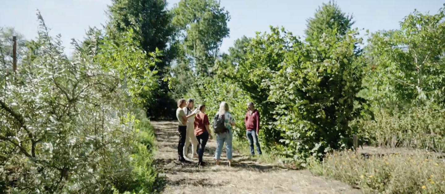 mensen in bos tussen struiken