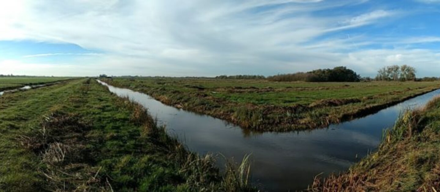 weilanden en sloten op platteland