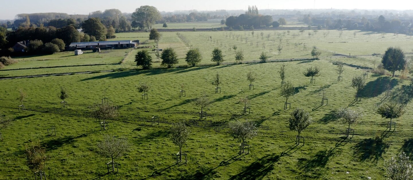 Luchtfoto van weiland met bomen