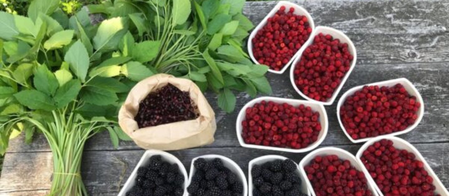 Bessen en kruiden op houten bank