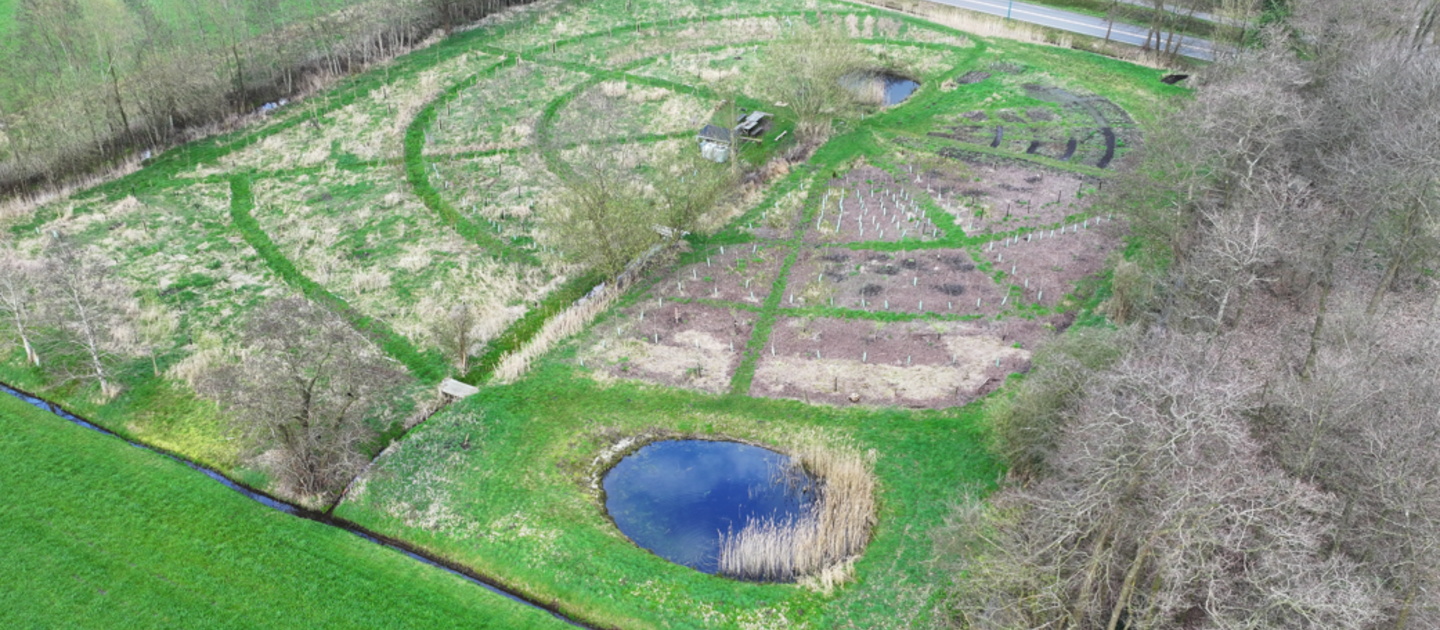 Luchtfoto van voedselbos in de winter
