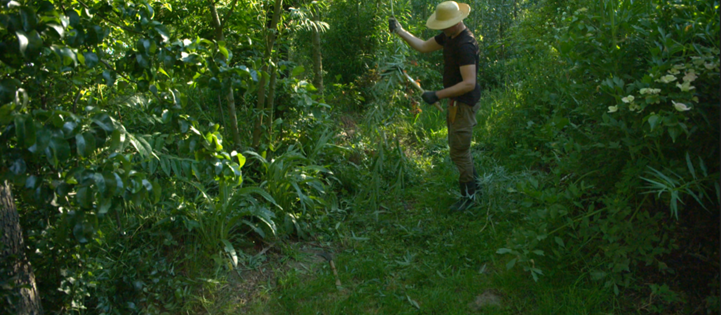 Man in tropische bos