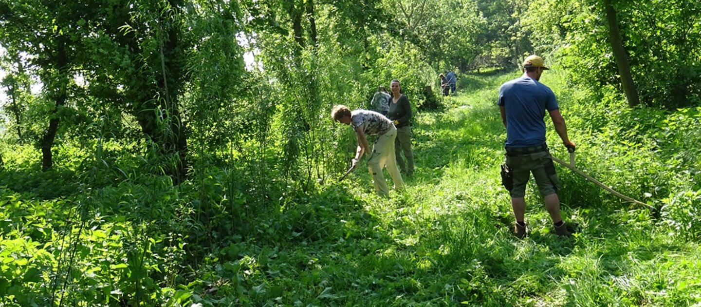 Mensen werken in bos