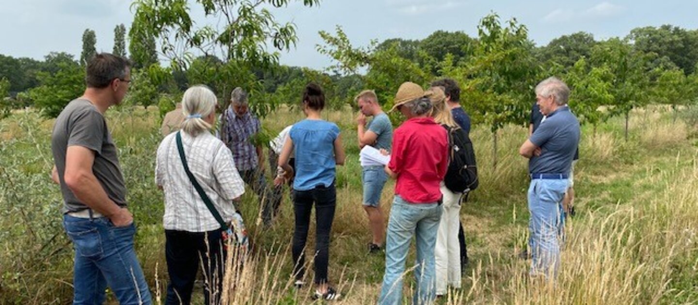 Excursie bij notenbomen