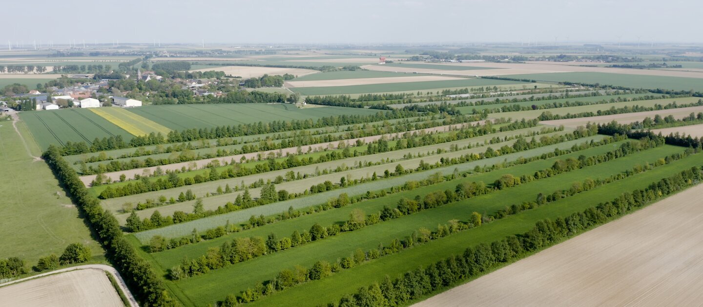luchtfoto landschap