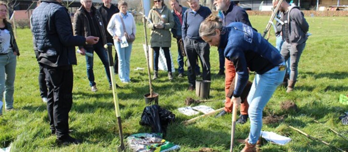 Mensen bij een agroforestry workshop