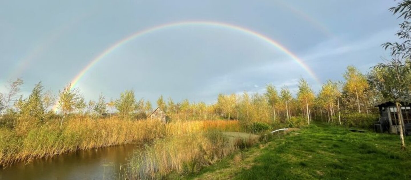 voedselbos met regenboog