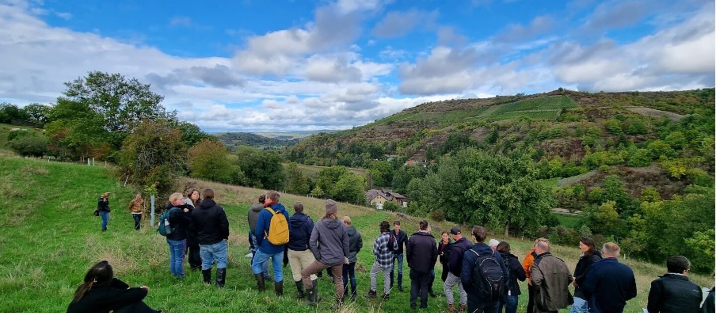 groep mensen op heuvel tussen bomen buiten