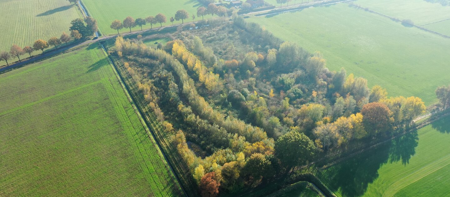 luchtfoto van voedselbos met bomen en weilanden