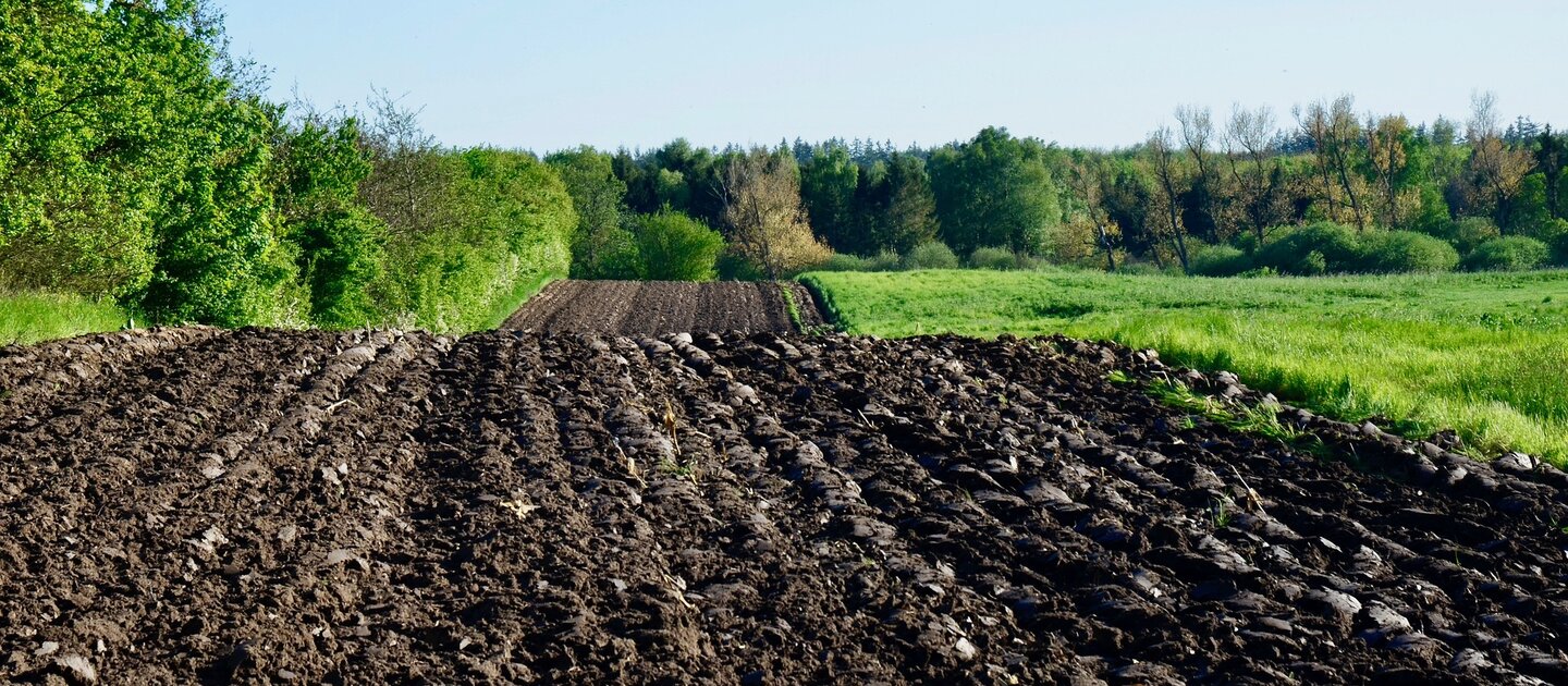 Bodem aarde landbouw bomen gewassen