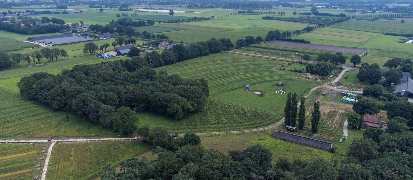 luchtfoto van bomen en weilanden