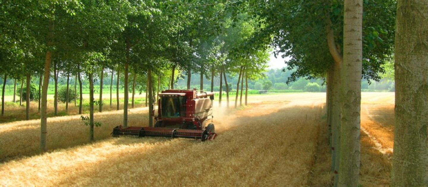 tractor op akker tussen bomen