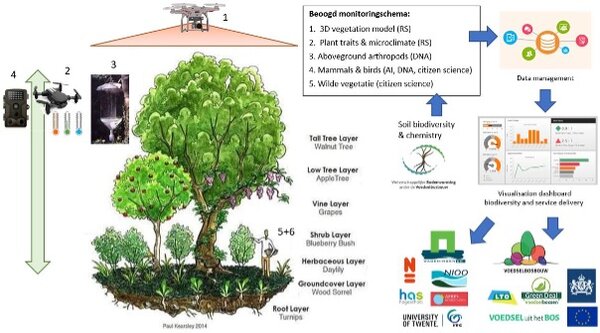 Infographic van beoogd monitorschema