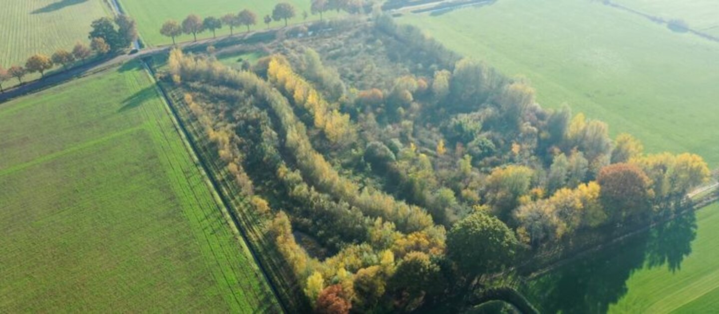 Luchtfoto voedselbos in weiland