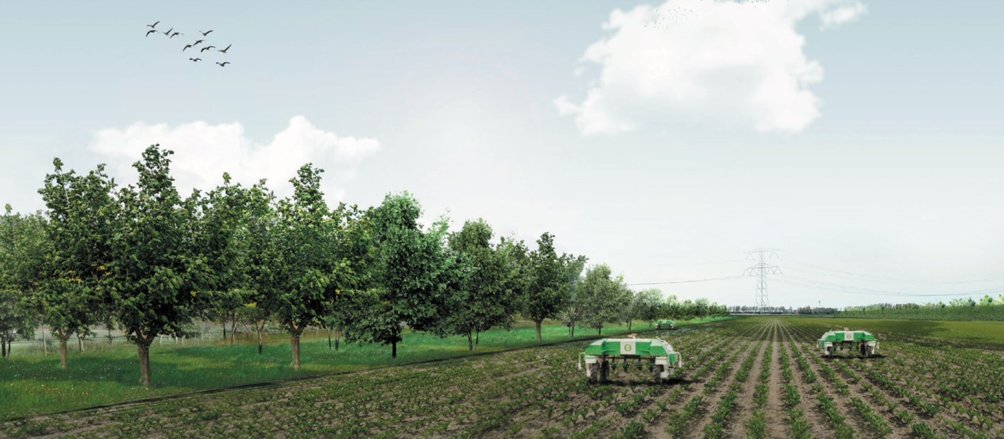 Bomen, gewassen en machines op akker
