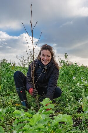 Anna Kuiper plant een boom