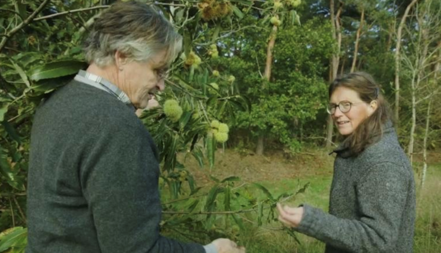 Top-10 baanbrekende agroforestry pioniers inspireren door samen te