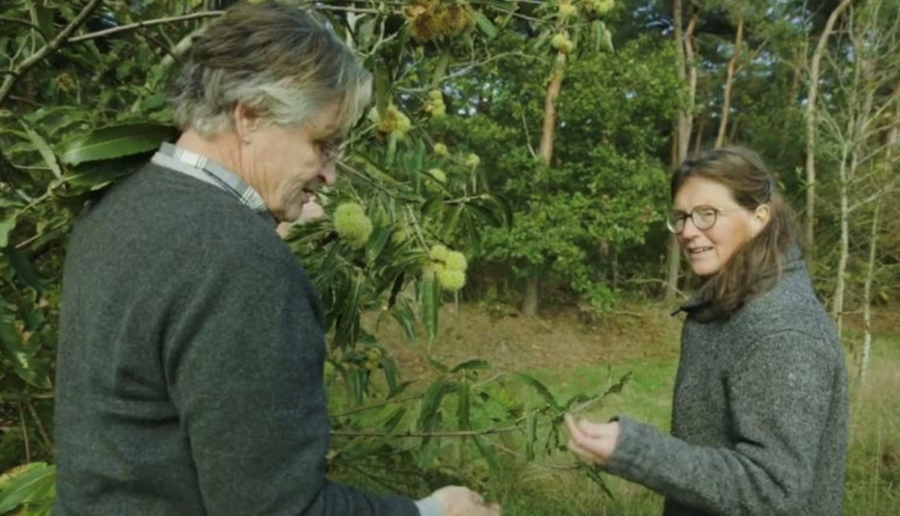 Jan van der horst en Marie Louise in het bos