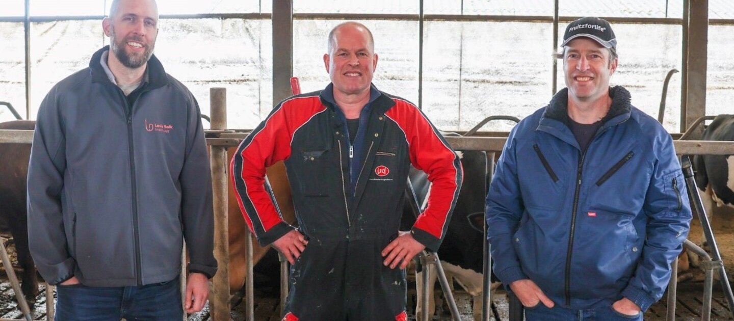 Mannen op een rij in koeienstal