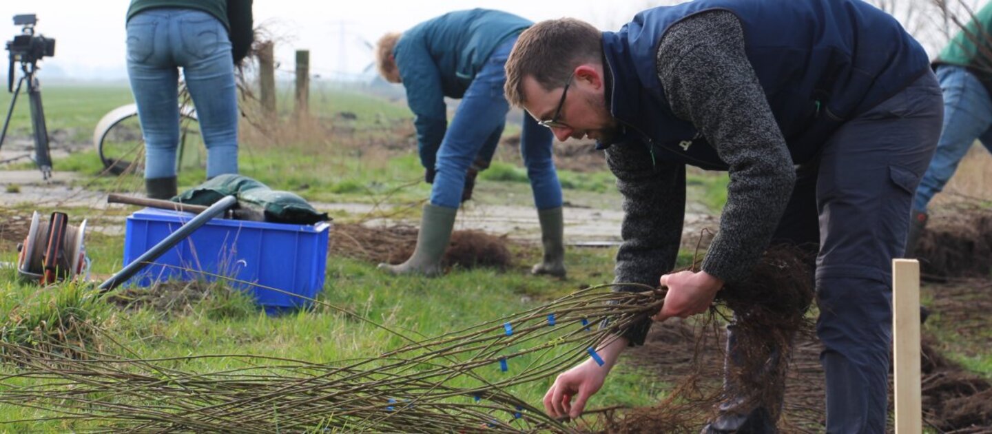 Groep mensen planten boompjes