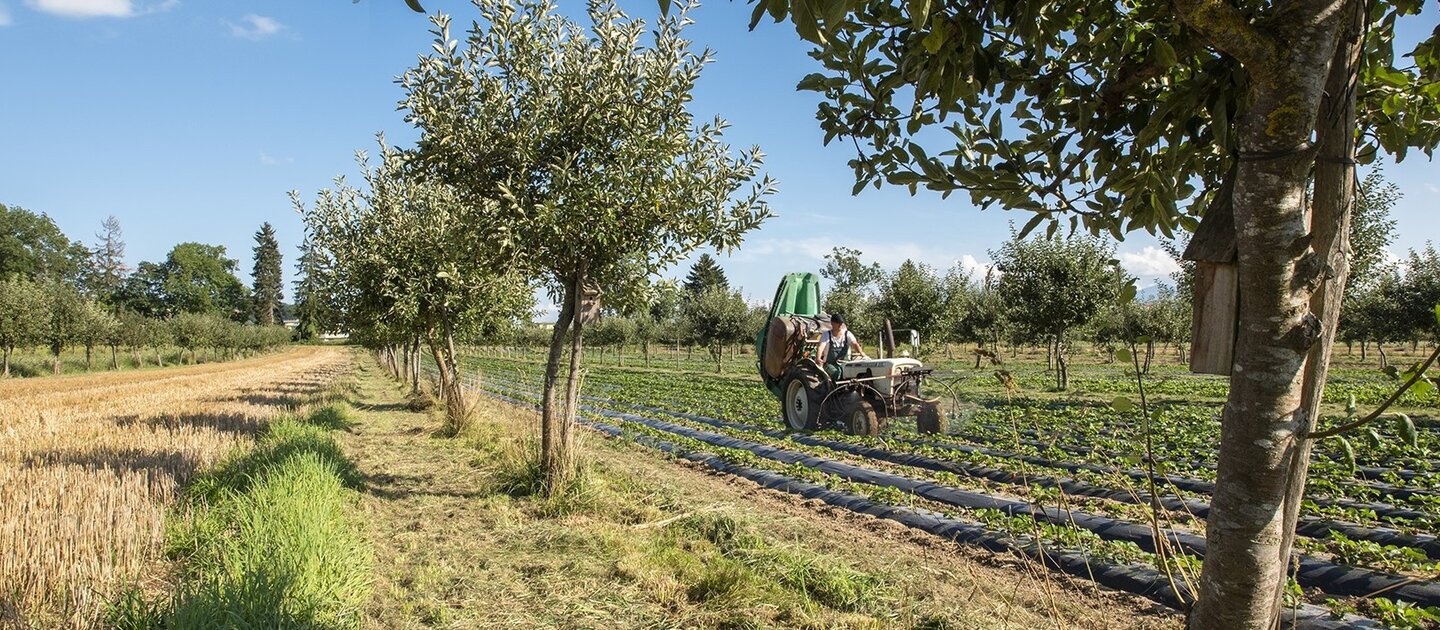 Tractor op akker met bomen aan de rand