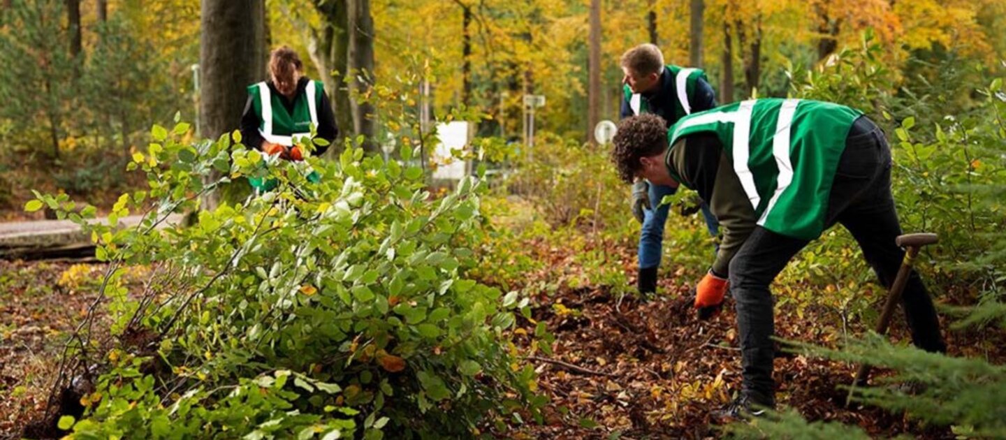 mensen planten bomen in bos