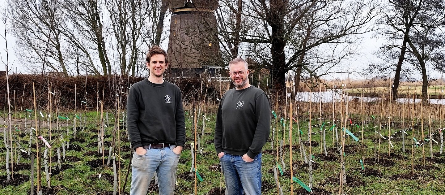 Twee mannen tussen pas aangeplante bomen