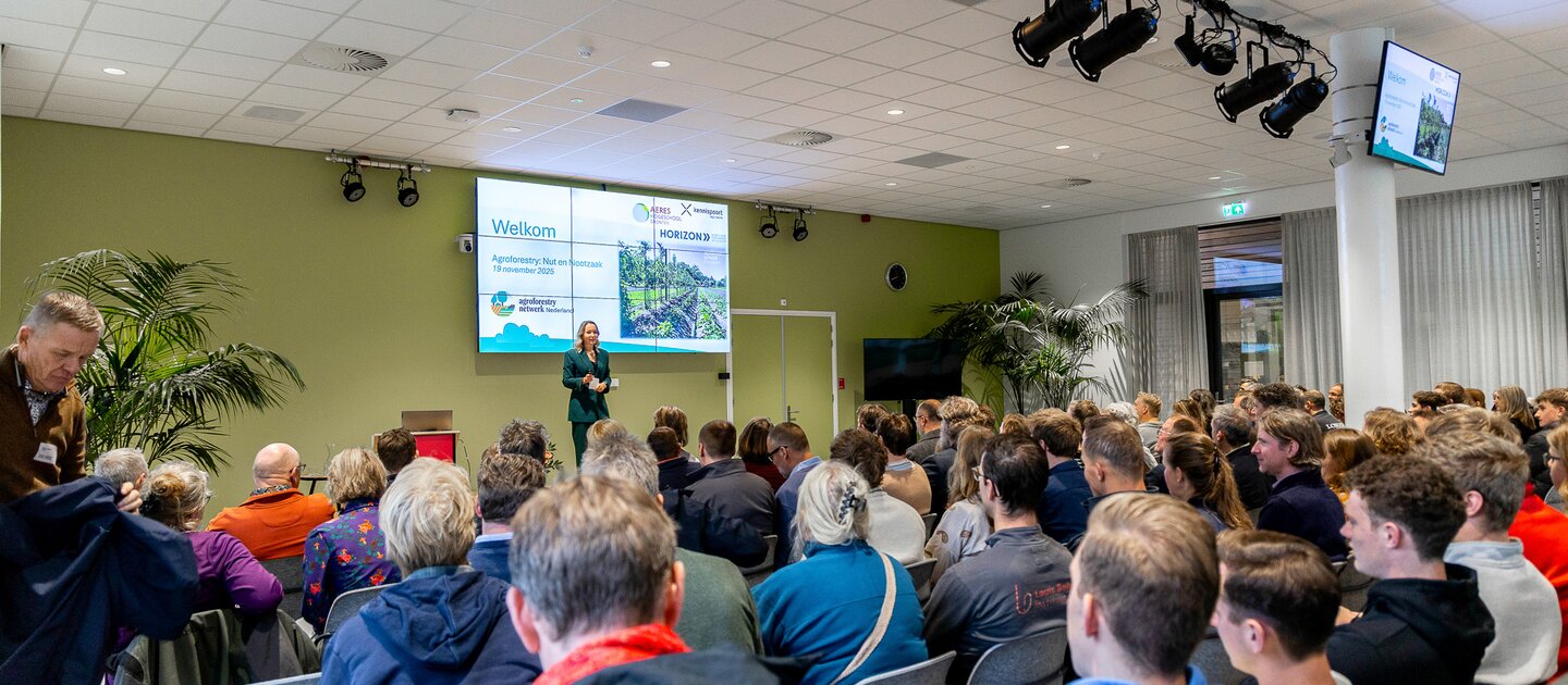 Toeschouwers van een presentatie