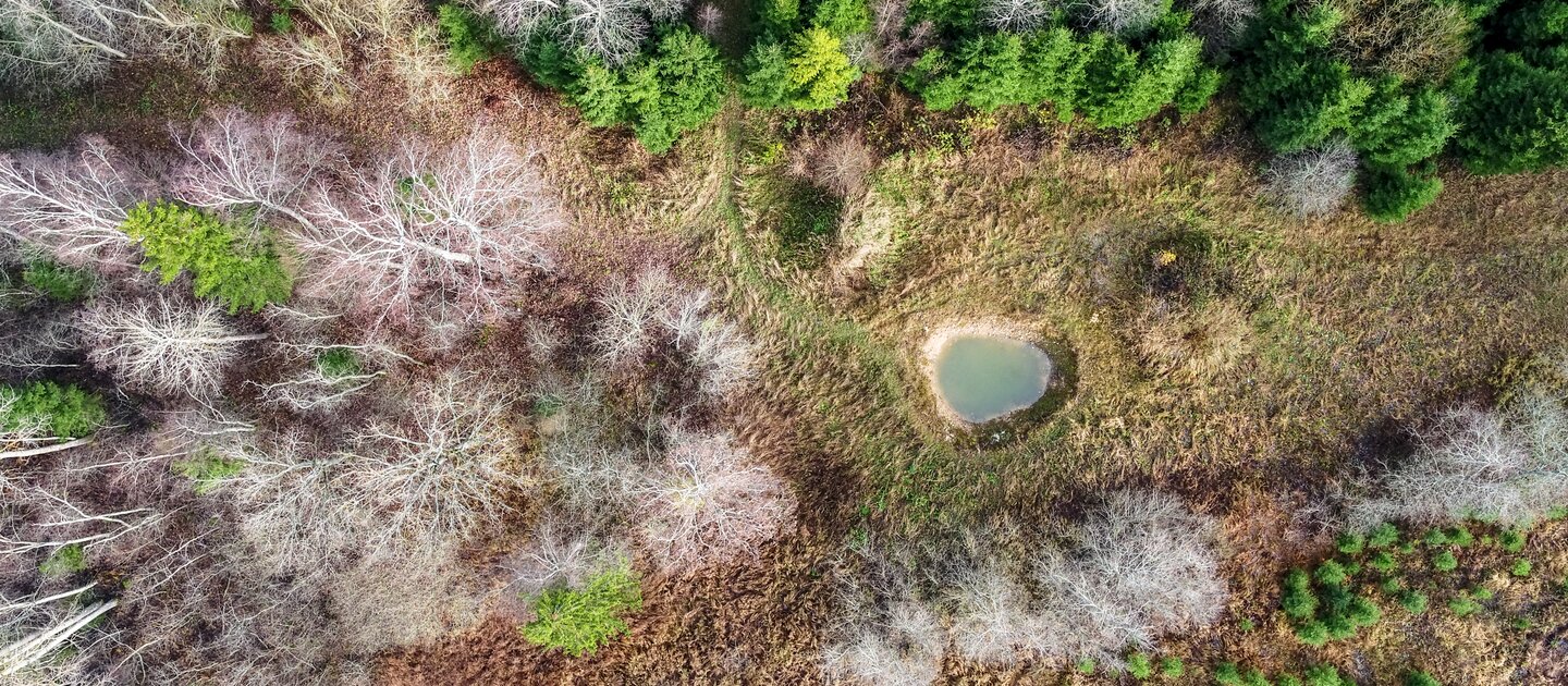 luchtfoto bomen en akker