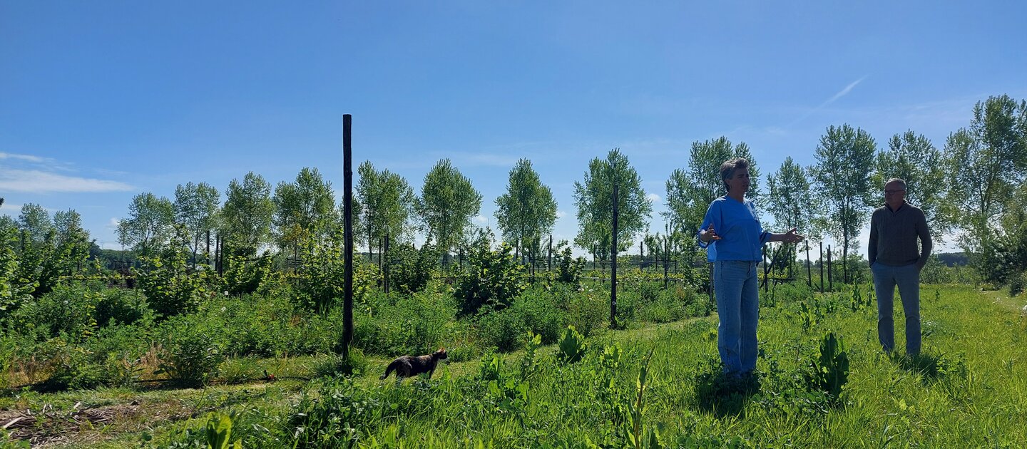 Rondleiding op agrofrestry bedrijf