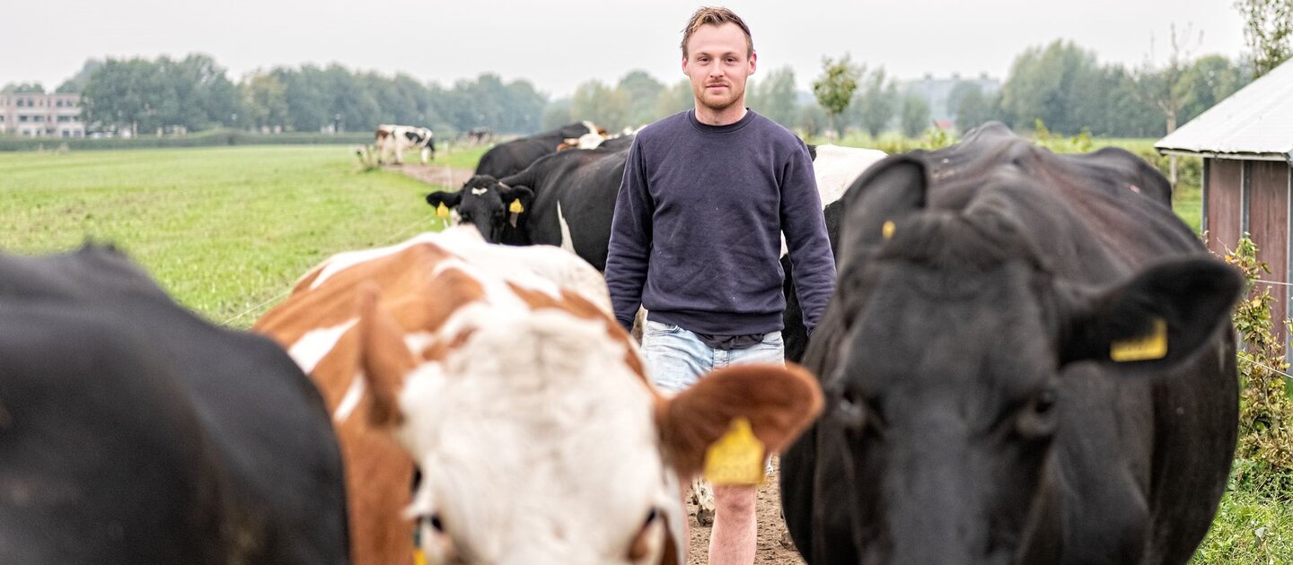 Boer met koeien