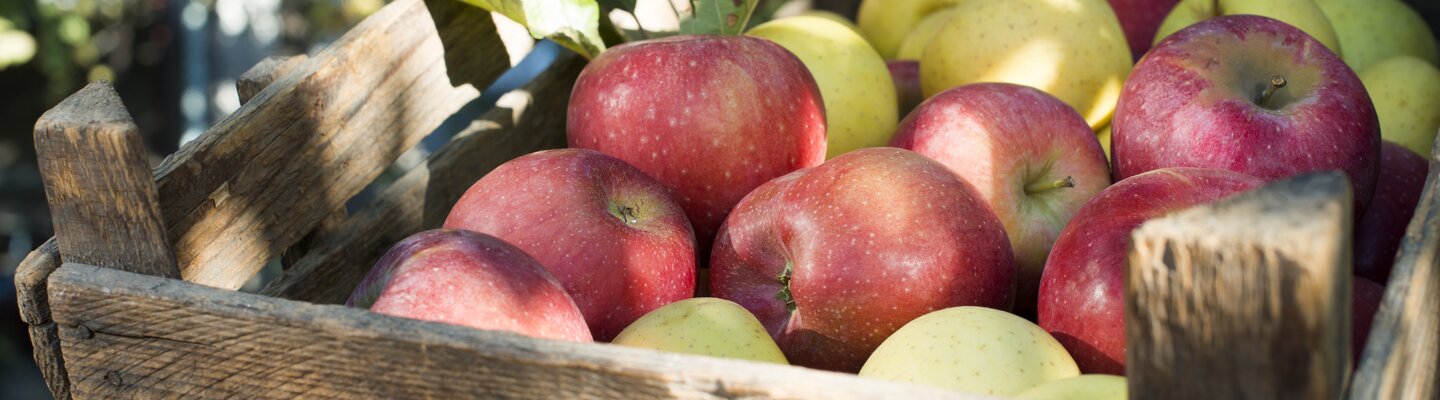 appels in een mand met bladeren