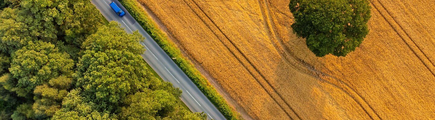 luchtfoto van akker en bomen