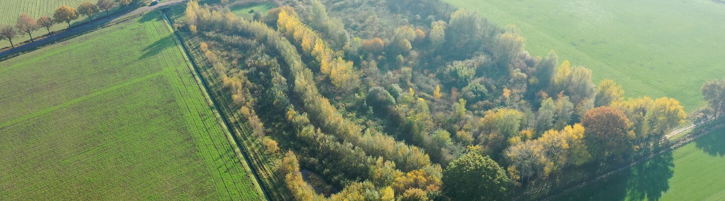 luchtfoto van voedselbos met bomen en weiland