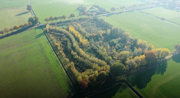 luchtfoto van voedselbos met bomen en weiland